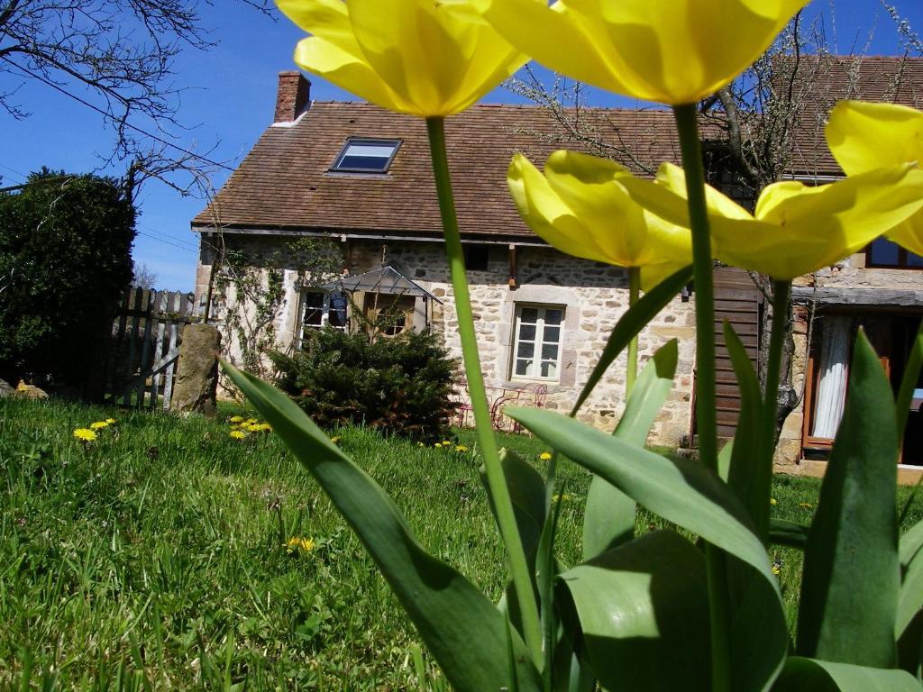 Le Trot'In Chair Bed & Breakfast Martigny-le-Comte Luaran gambar