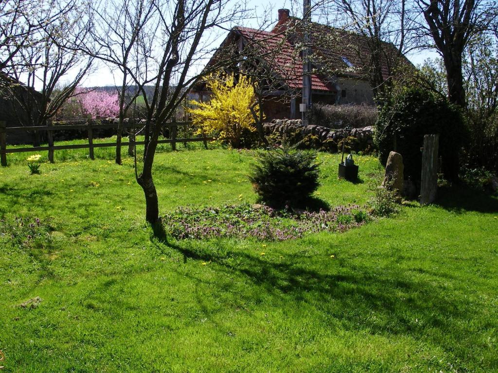 Le Trot'In Chair Bed & Breakfast Martigny-le-Comte Luaran gambar