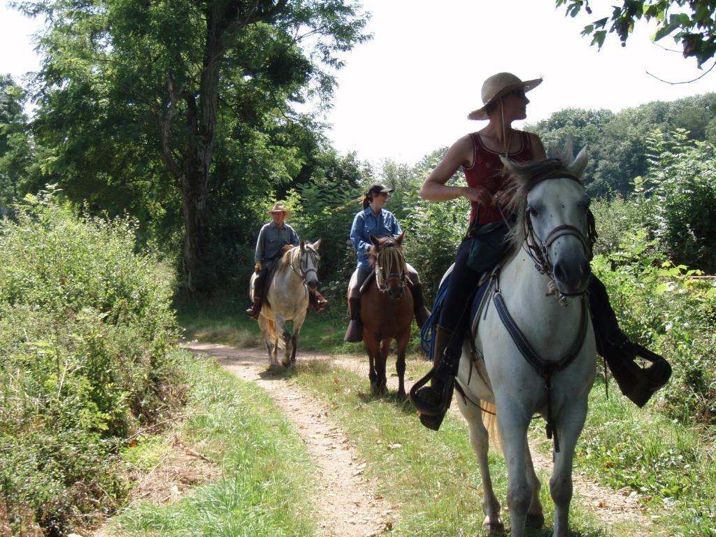 Le Trot'In Chair Bed & Breakfast Martigny-le-Comte Luaran gambar