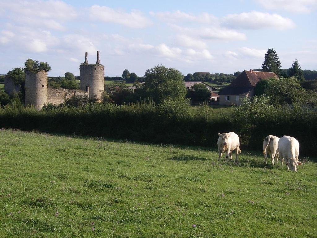 Le Trot'In Chair Bed & Breakfast Martigny-le-Comte Luaran gambar